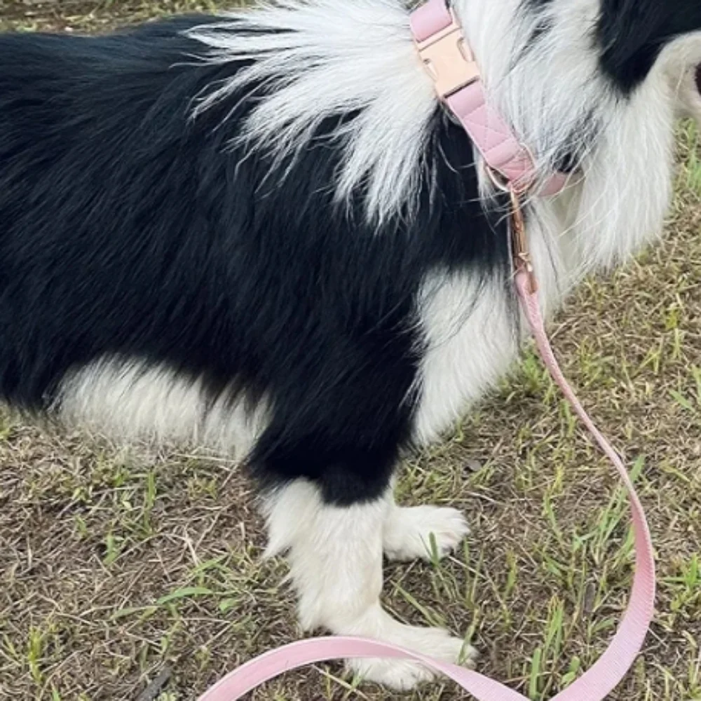 Pink Vegan Leather Dog Collar And Leash Set